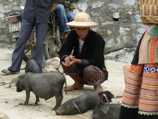 Vietnam 2009
